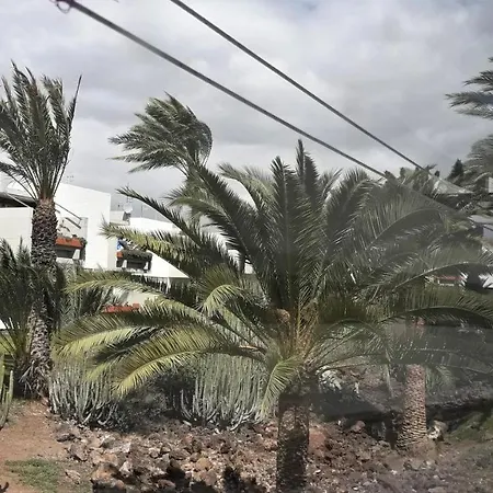 شقة Primavera طوستا ديل سيلونثيو